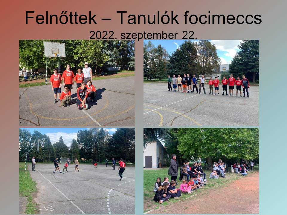 focimeccs 2