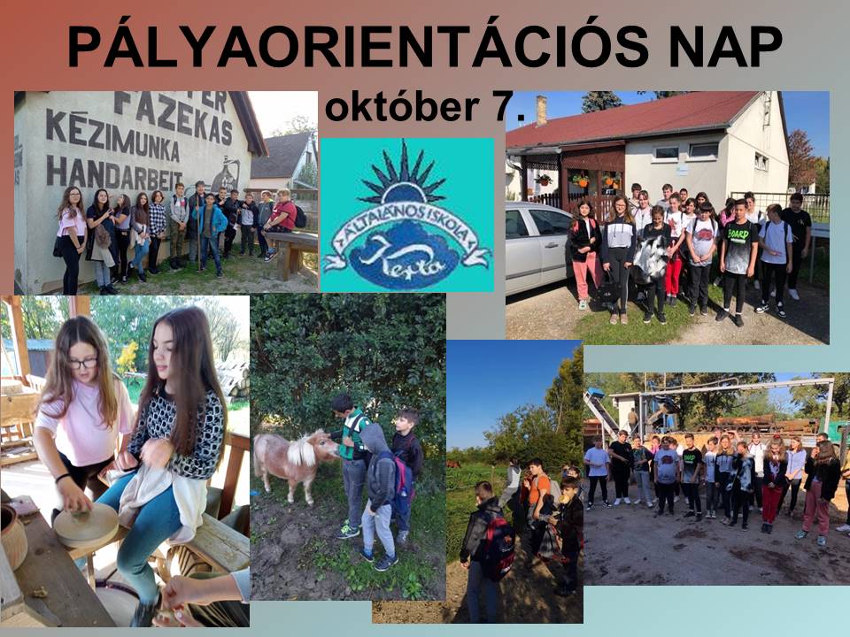 palyaorientacio